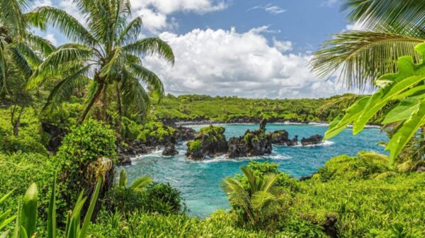 Maui-Waianapanapa-State-Park-Guide_-Black-Sand-and-More Maui-Waianapanapa-State-Park-Guide_-Black-Sand-and-More