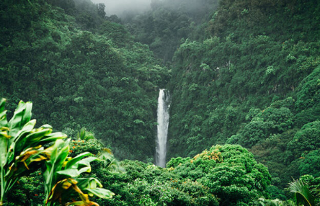 kahului_maui_jungle_waterfall_excursion_5140-92