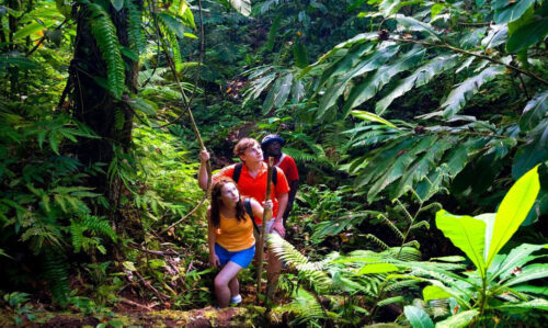 kings-garden-maui-waterfall-hike kings-garden-maui-waterfall-hike